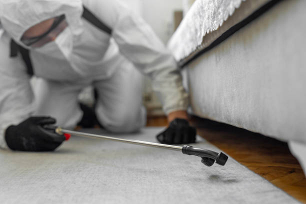 Professional Bed Bug Control technician working in Layhill, MD